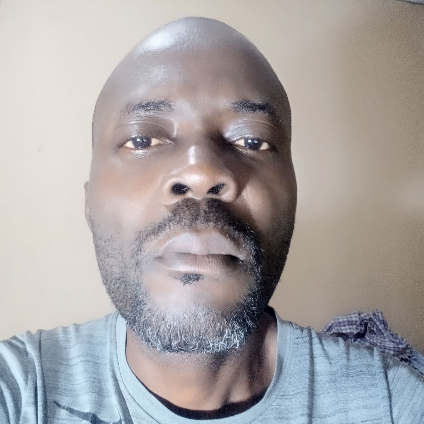 Abiola Ogunmona pfp