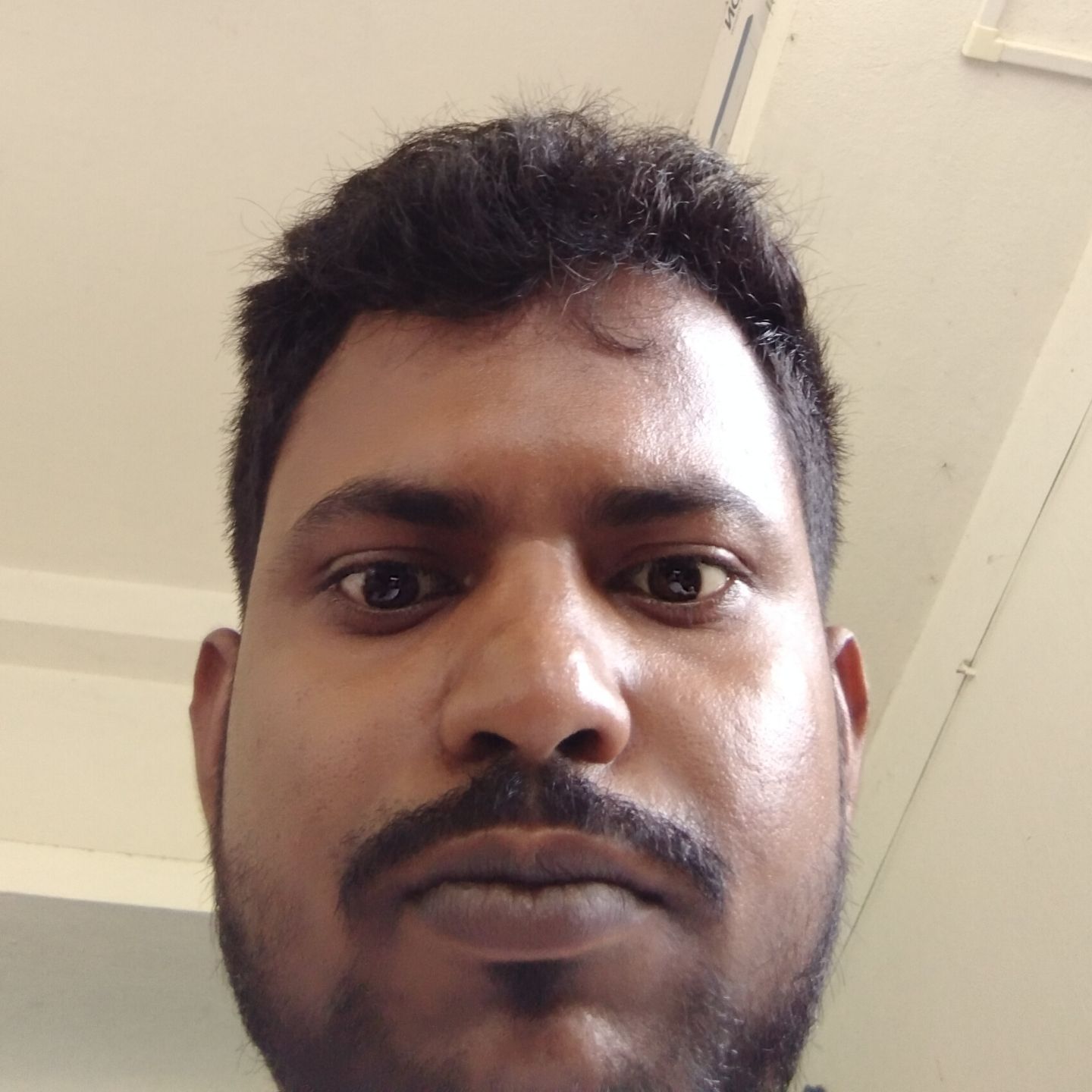 Raj Haldar pfp