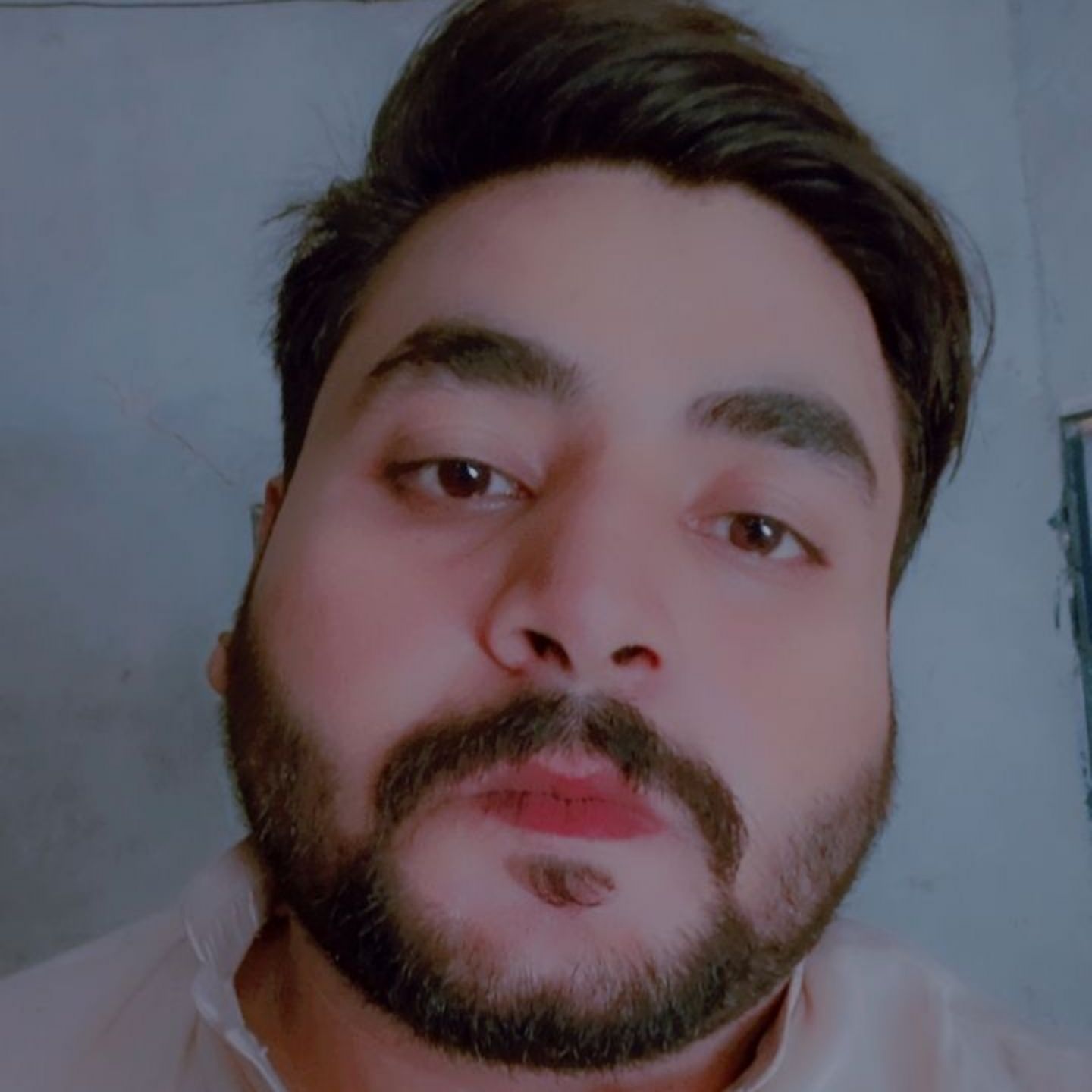 shakir Noor pfp